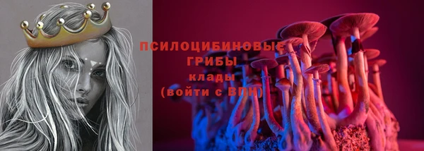 синтетический гашиш Гусь-Хрустальный