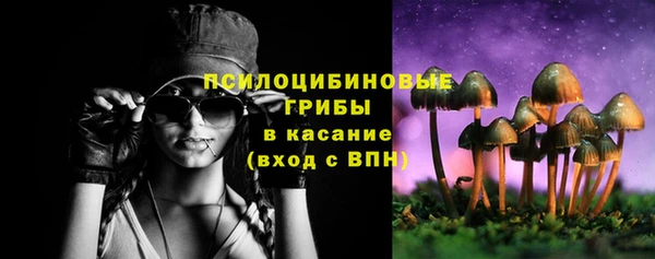 бошки Володарск