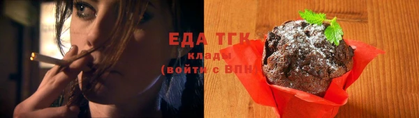 амф Горняк