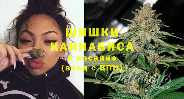 амф Горняк