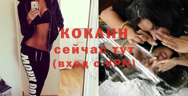 амф Горняк