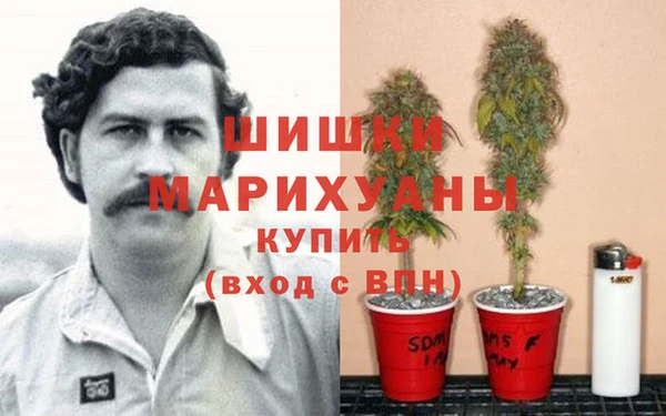 амф Горняк