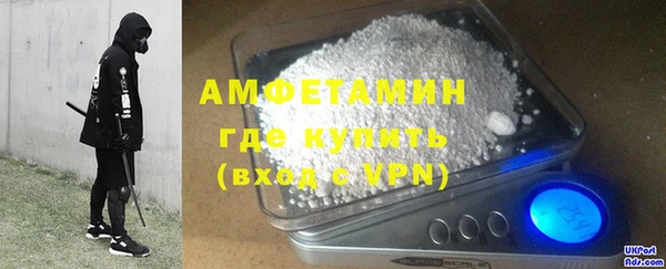 амф Горняк