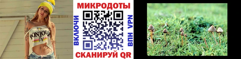 Псилоцибиновые грибы Magic Shrooms Еманжелинск