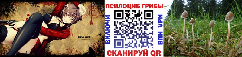 сайты даркнета формула  Еманжелинск  Псилоцибиновые грибы ЛСД  что такое наркотик 